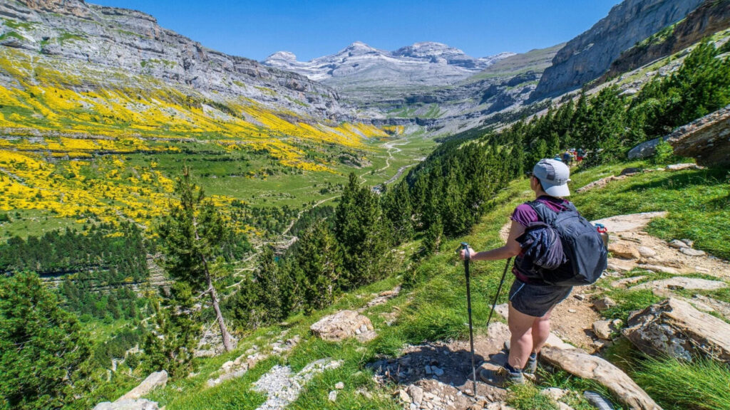 Aragón ofrece más de 400 actividades gratuitas para descubrir sus espacios naturales este verano – ECOticias.com