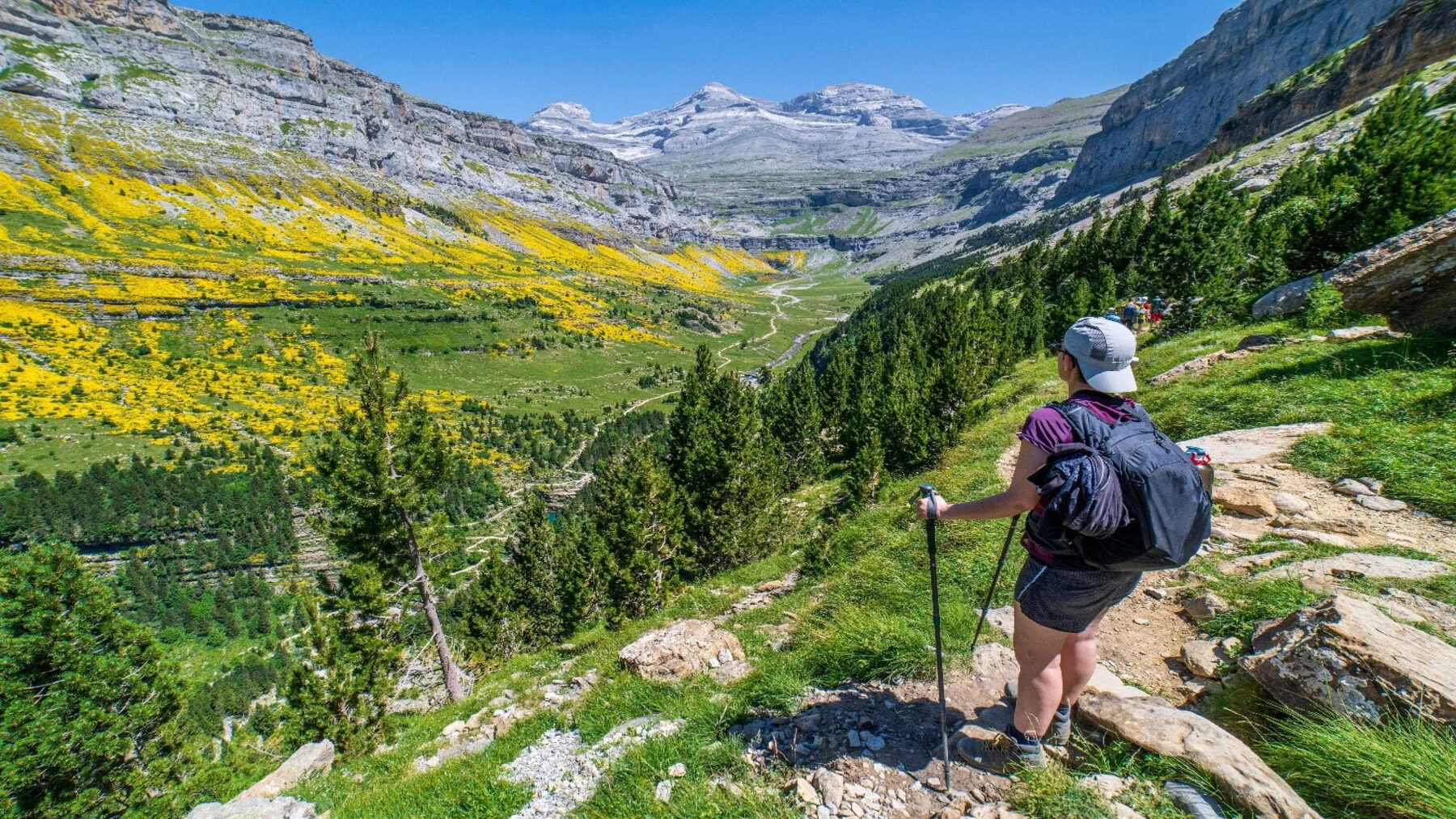 Aragón ofrece más de 400 actividades gratuitas para descubrir sus espacios naturales este verano – ECOticias.com