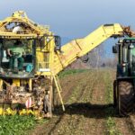 Castilla-La Mancha quiere liderar el biometano con una regulación ambiciosa y más seguridad jurídica – ECOticias.com