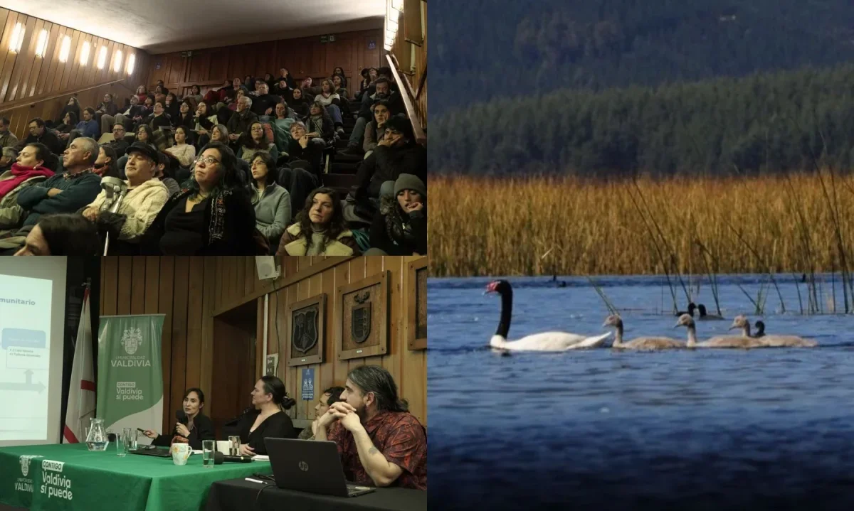 Cerca de 100 personas participaron en seminario sobre el futuro de la cuenca del río Valdivia