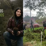 Construirán primer bosque de bolsillo Miyawaki en la biblioteca pública de Osorno