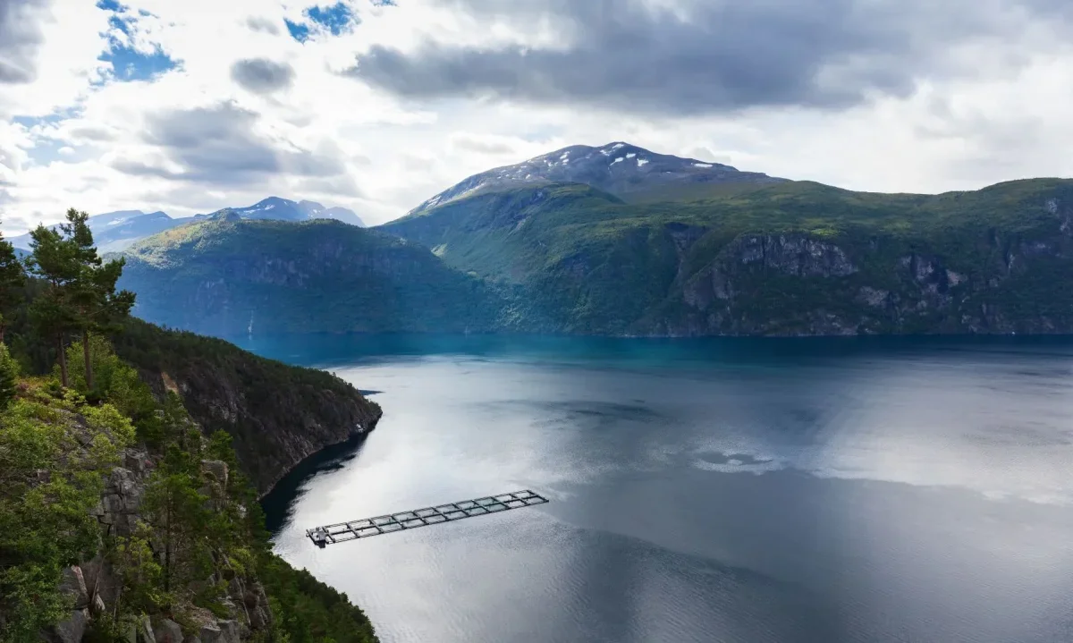 Corte Suprema confirma sanción contra empresa salmonera por contaminación en lago Llanquihue