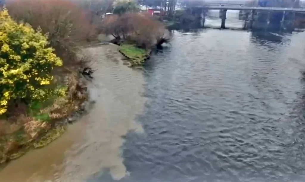 Denuncian contaminación por extraña mancha en desembocadura de dos ríos de Osorno