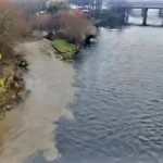 Denuncian contaminación por extraña mancha en desembocadura de dos ríos de Osorno