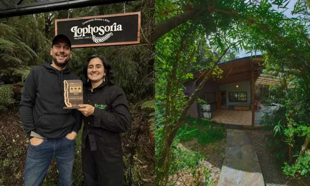Destacan modelo de triple impacto impulsado por Lophosoria Ecolodge desde Valdivia