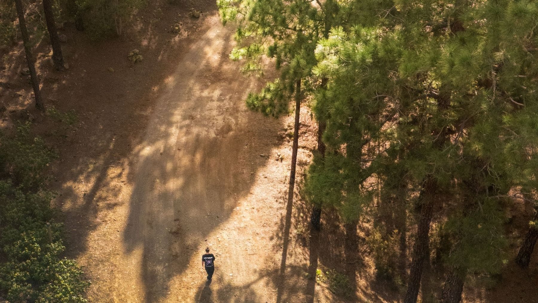 Día Mundial de los Agentes Forestales y Medioambientales 2026: así protegen la naturaleza los 365 días del año