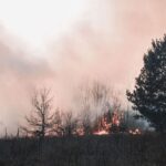 Ecologistas en Acción exige más prevención frente a los grandes incendios forestales