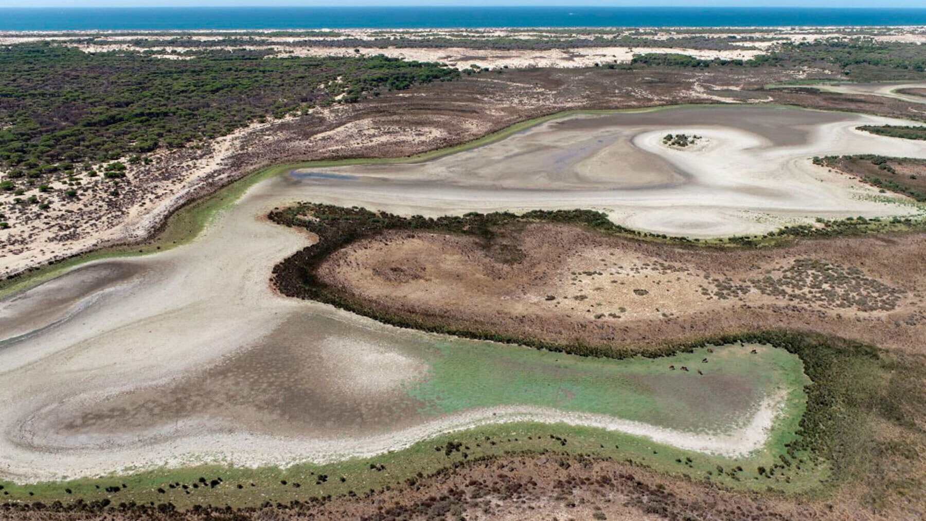 El Marco de Doñana para los temporeros acelera las ayudas para dignificar la vida de miles de trabajadores