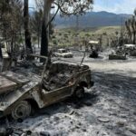 El abandono de los montes amenaza con incendios sin precedentes en Andalucía tras la tragedia de Almería – ECOticias.com