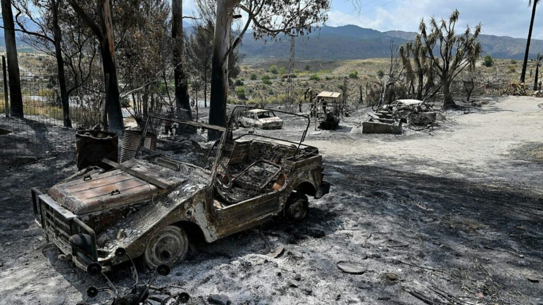 El abandono de los montes amenaza con incendios sin precedentes en Andalucía tras la tragedia de Almería – ECOticias.com