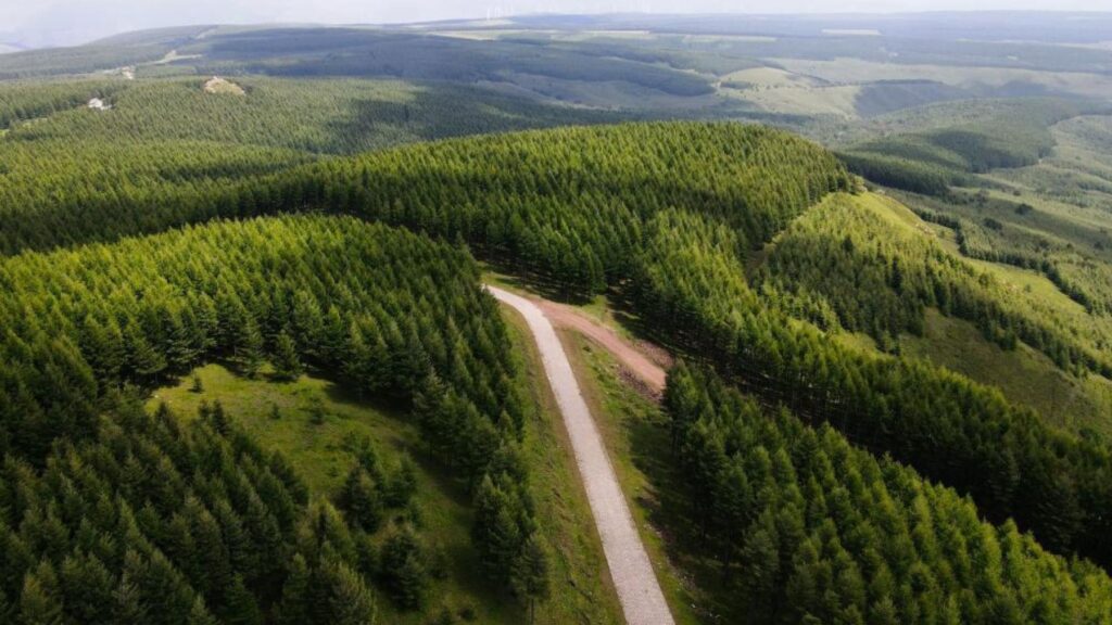 En 1962 China envió a 369 jóvenes silvicultores a plantar árboles en un desierto que amenazaba a Pekín con tormentas de arena: 60 años y tres generaciones después, han creado el mayor bosque artificial del mundo con 93.000 hectáreas y han reducido las tormentas un 70%