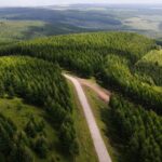 En 1962 China envió a 369 jóvenes silvicultores a plantar árboles en un desierto que amenazaba a Pekín con tormentas de arena: 60 años y tres generaciones después, han creado el mayor bosque artificial del mundo con 93.000 hectáreas y han reducido las tormentas un 70%