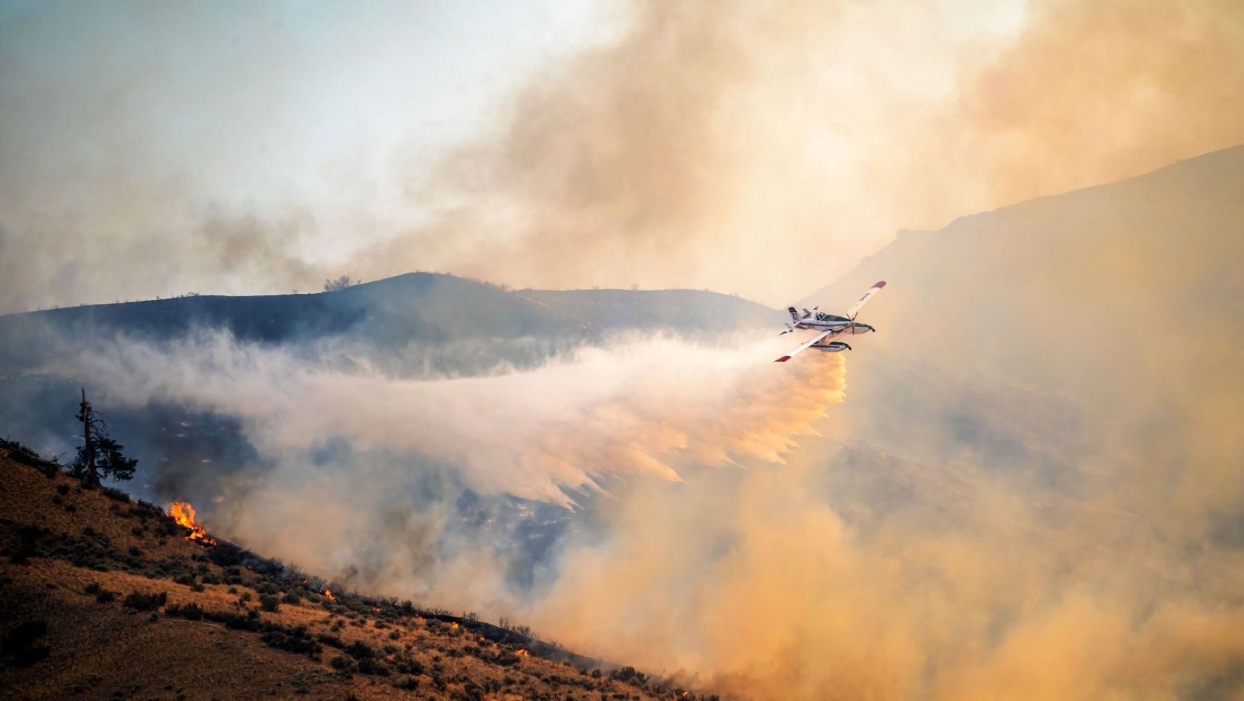 España pide ayuda a la Unión Europea por los incendios en Madrid y Ávila – ECOticias.com