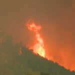 España sufrirá incendios forestales más virulentos si no cambia la gestión de sus bosques, alerta un informe – ECOticias.com