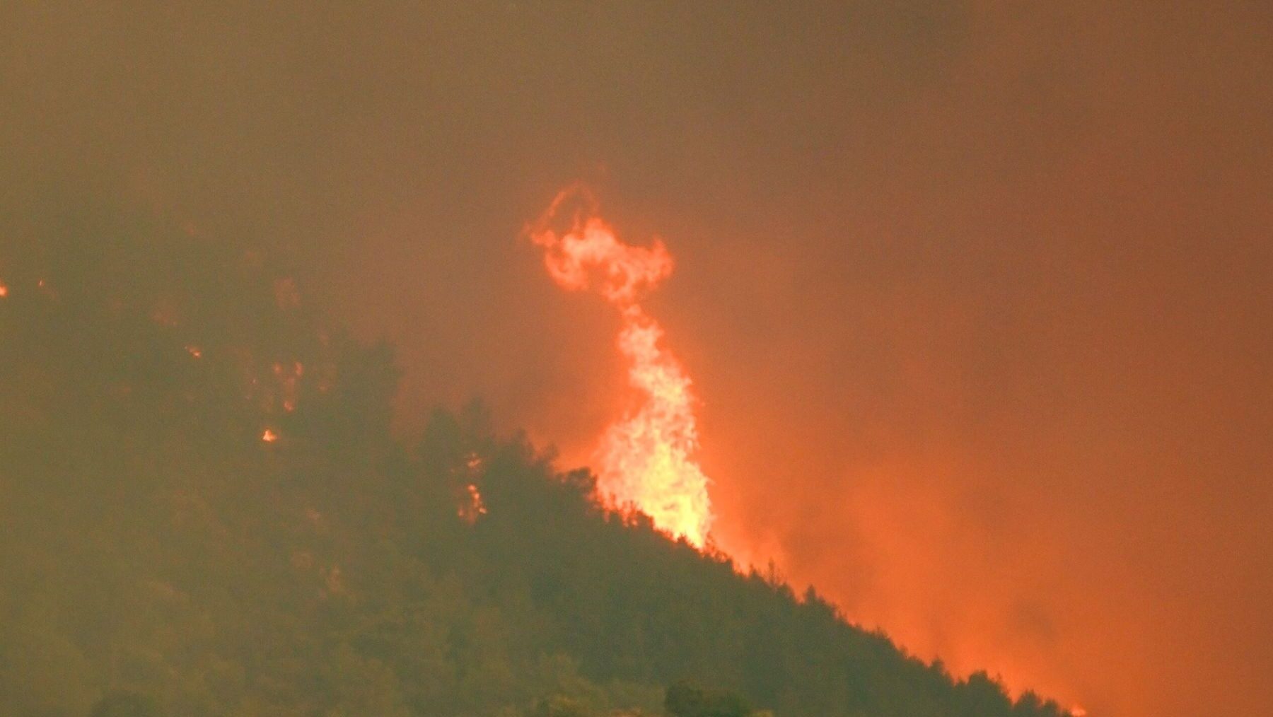 España sufrirá incendios forestales más virulentos si no cambia la gestión de sus bosques, alerta un informe – ECOticias.com