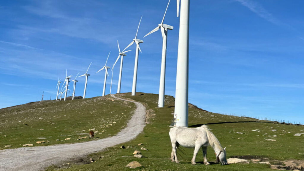 Euskadi estrena su primer parque eólico en 20 años con apoyo del Banco Europeo de Inversiones – ECOticias.com