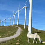 Euskadi estrena su primer parque eólico en 20 años con apoyo del Banco Europeo de Inversiones – ECOticias.com