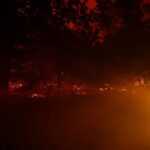 Gestión forestal para prevenir los incendios: el modelo que impulsa la Fundació Catalunya La Pedrera – ECOticias.com