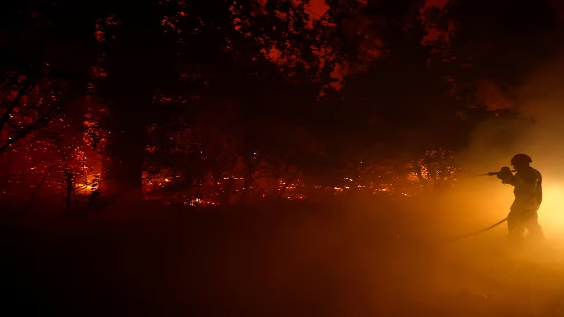 Gestión forestal para prevenir los incendios: el modelo que impulsa la Fundació Catalunya La Pedrera – ECOticias.com