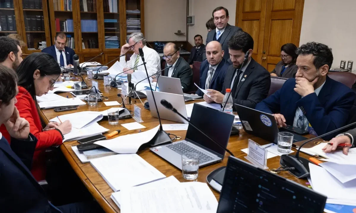 Greenpeace alerta improvisación y apuro en Ley de Reconstrucción Nacional