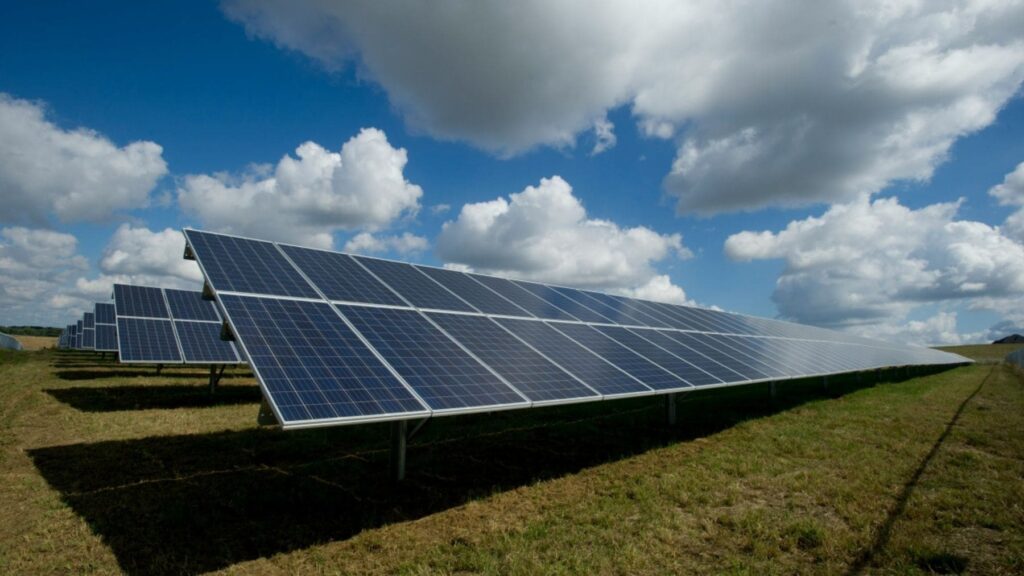 Guerra en el campo por las renovables: dos macroplantas solares de un grupo alemán chocan con los agricultores de Alicante