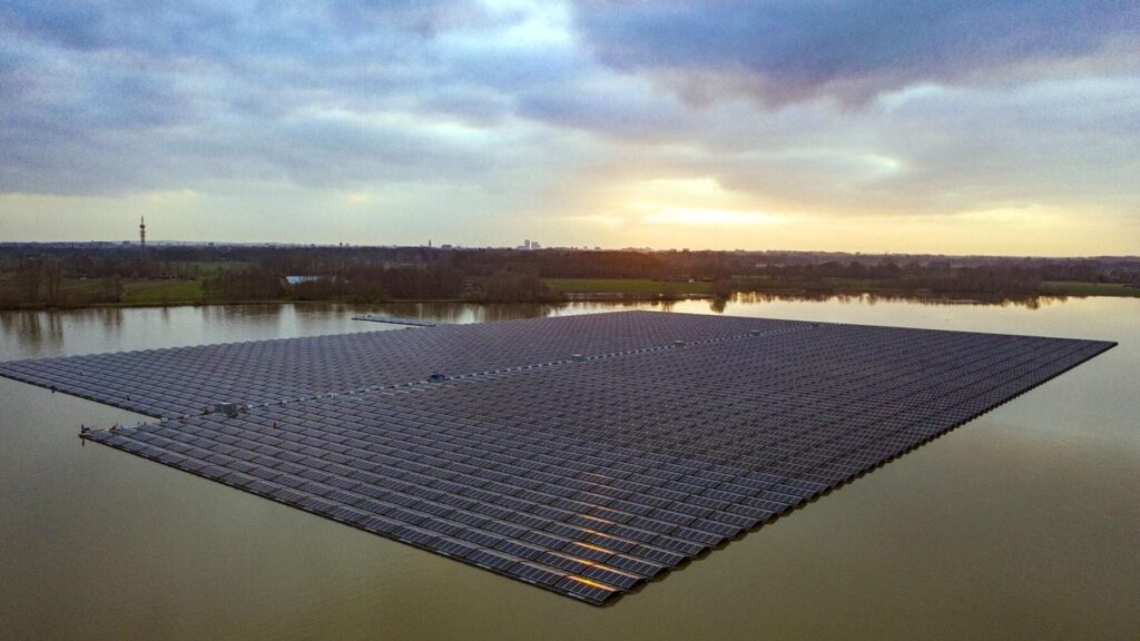 Instalaron 73.000 paneles solares flotantes sobre un lago industrial casi sin vida en Países Bajos y, tres años después, han contado 400 peces y casi 2.000 invertebrados debajo