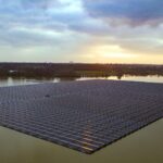 Instalaron 73.000 paneles solares flotantes sobre un lago industrial casi sin vida en Países Bajos y, tres años después, han contado 400 peces y casi 2.000 invertebrados debajo