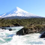 Invitan a la ciudadanía a sumarse a la campaña “100 Años, 100 Acciones por la Naturaleza”