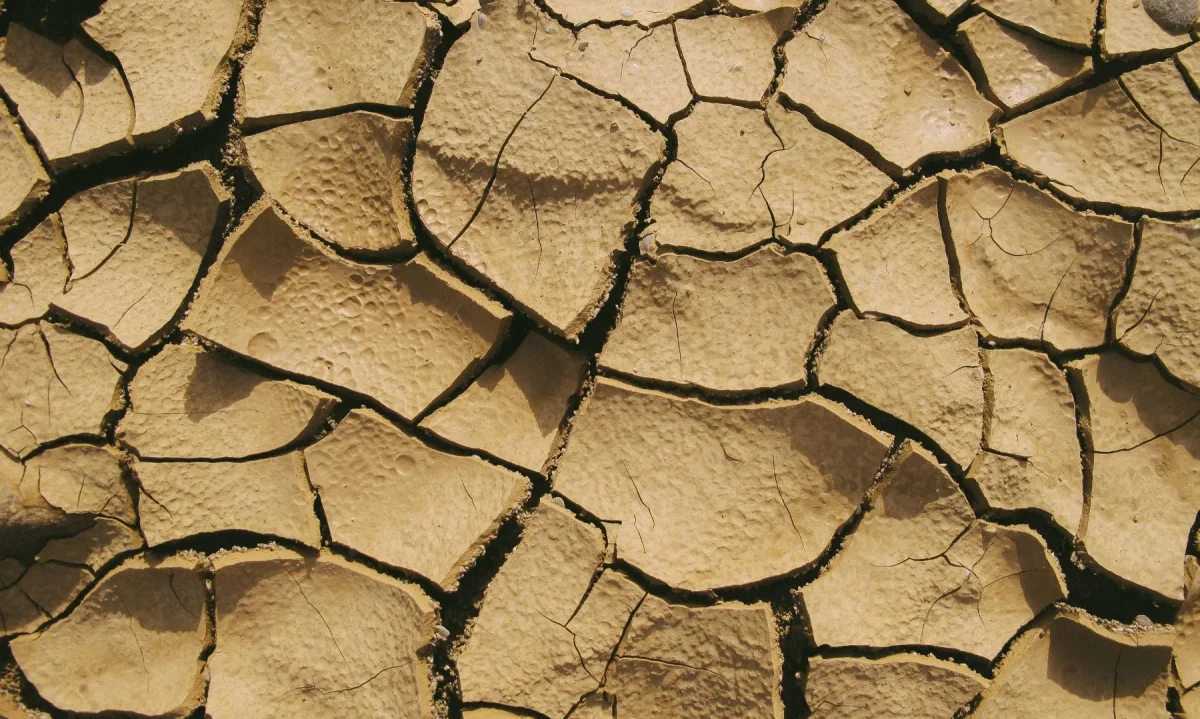 Invitan a participar en taller online sobre incidencia sociambiental y cambio climático