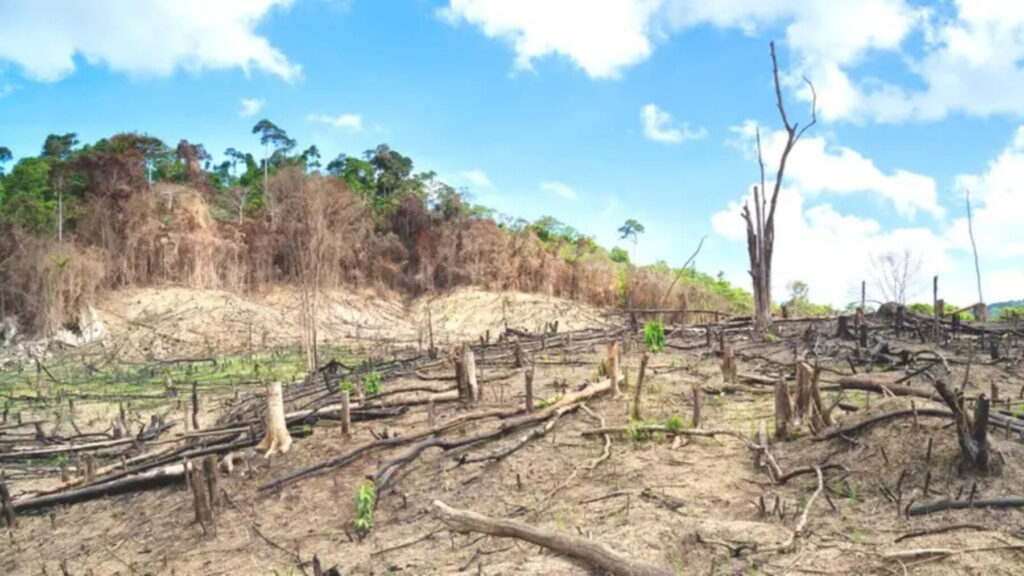 La UPNA analiza la sostenibilidad y la historia económica para entender el impacto humano sobre el planeta – ECOticias.com