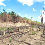 La UPNA analiza la sostenibilidad y la historia económica para entender el impacto humano sobre el planeta – ECOticias.com