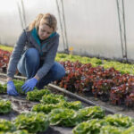 La agricultura ecológica marcará el futuro de la alimentación en Europa y centrará el Congreso Europeo 2026