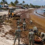 La invasión de sargazo se dispara en México: 100 efectivos navales luchan cada día contra una macroalga que ya ha cubierto 37 de las 40 playas de la región