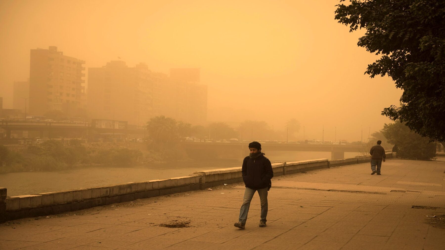 Las tormentas de arena y polvo afectan a 150 países mientras la OMM alerta de episodios cada vez más extremos – ECOticias.com