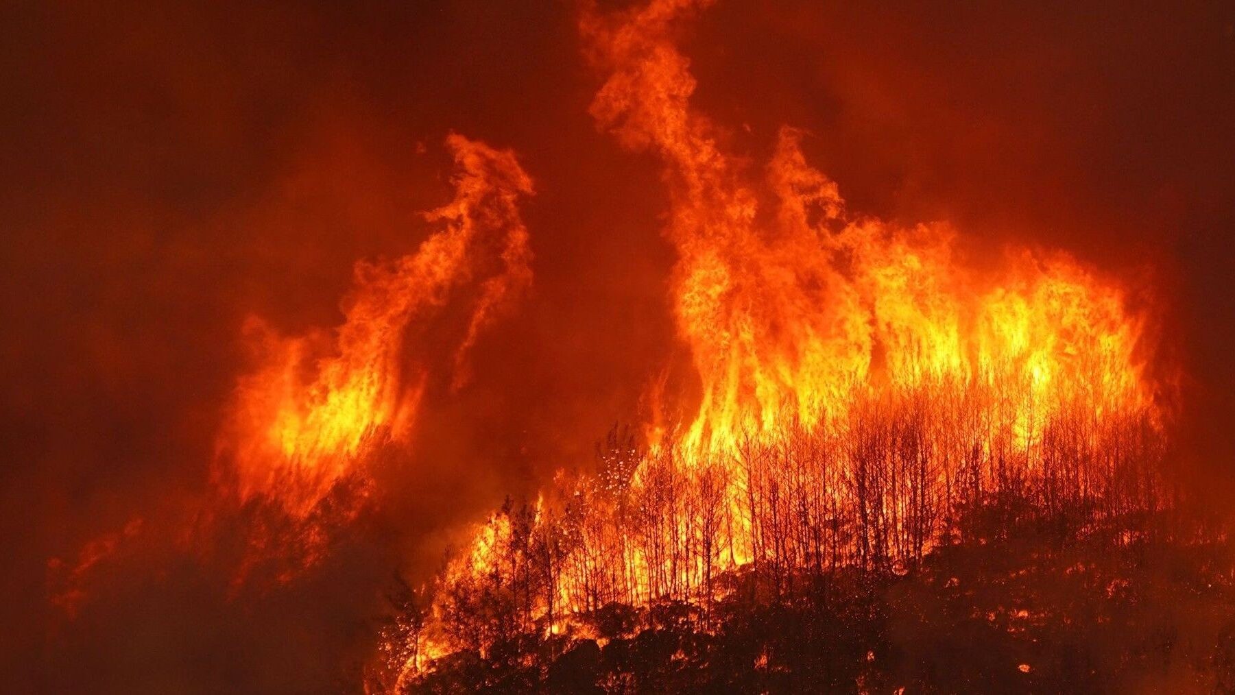 Los incendios activos hoy en España ponen al país en alerta máxima por la ola de calor – ECOticias.com