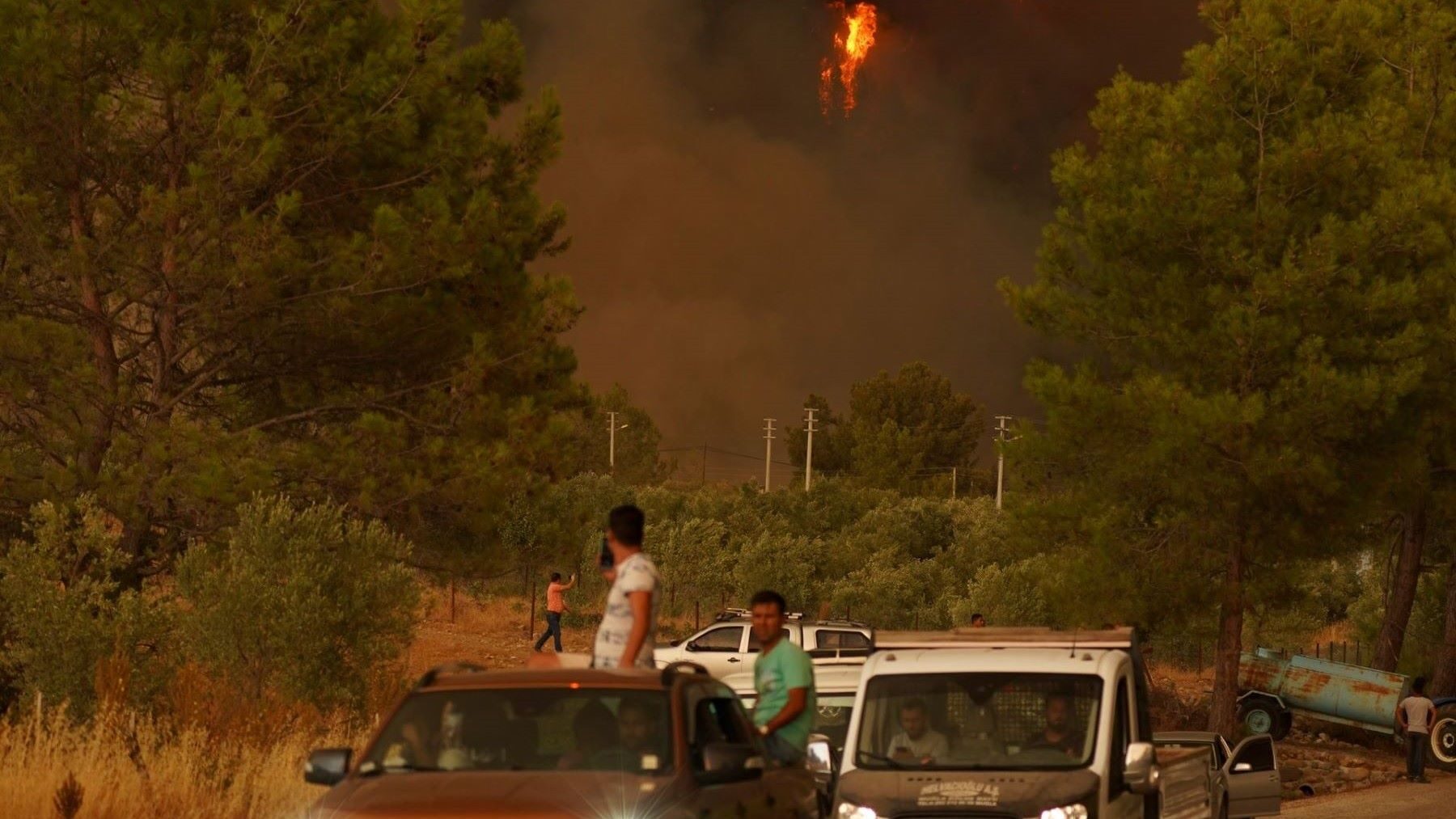 Los incendios ya no se pueden combatir como antes y Los Gallardos demuestra por qué hay que cambiar la estrategia – ECOticias.com