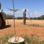 Marruecos planta árboles en el desierto con un dispositivo que captura el rocío nocturno y la humedad del aire para regarlos sin necesidad de lluvia: el 95% de los árboles sobrevive y ya han recuperado 1.200 hectáreas