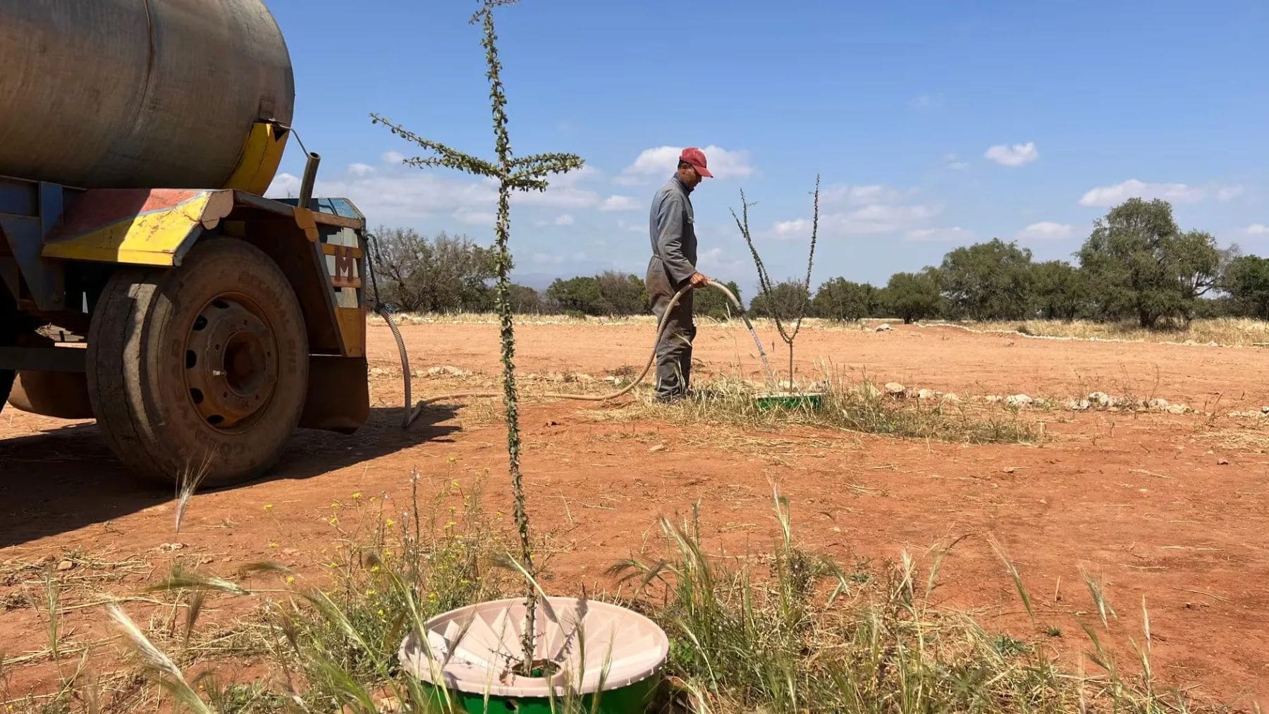 Marruecos planta árboles en el desierto con un dispositivo que captura el rocío nocturno y la humedad del aire para regarlos sin necesidad de lluvia: el 95% de los árboles sobrevive y ya han recuperado 1.200 hectáreas