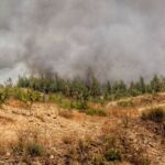 Más del 90 % de los incendios forestales en España tienen origen humano