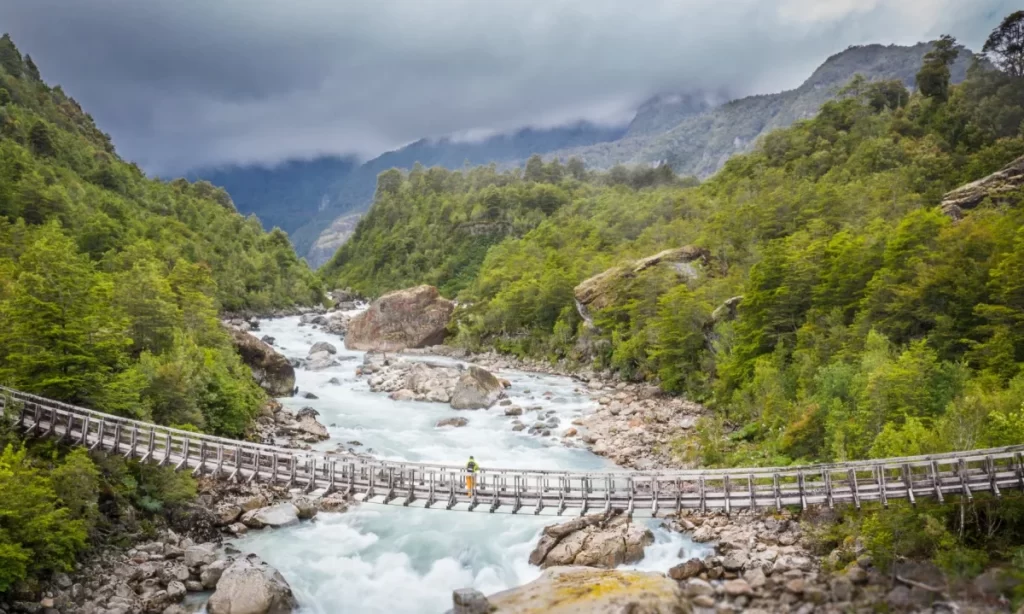 Por cada dólar invertido en los parques de la patagonia seis retornan a la economía local