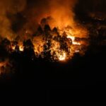 Qué hacer si hay un incendio forestal cerca de casa: las recomendaciones de los servicios de emergencia