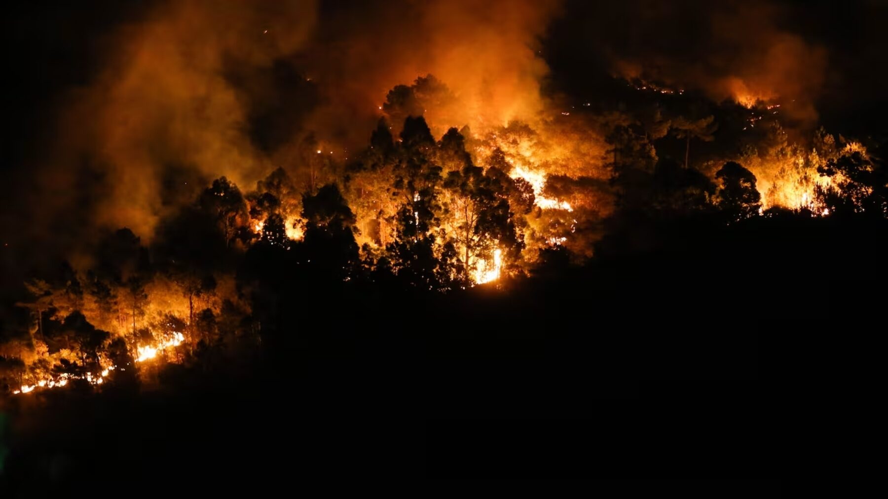 Qué hacer si hay un incendio forestal cerca de casa: las recomendaciones de los servicios de emergencia – ECOticias.com