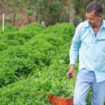 Riet Vell demuestra que la agricultura ecológica protege la biodiversidad en el delta del Ebro