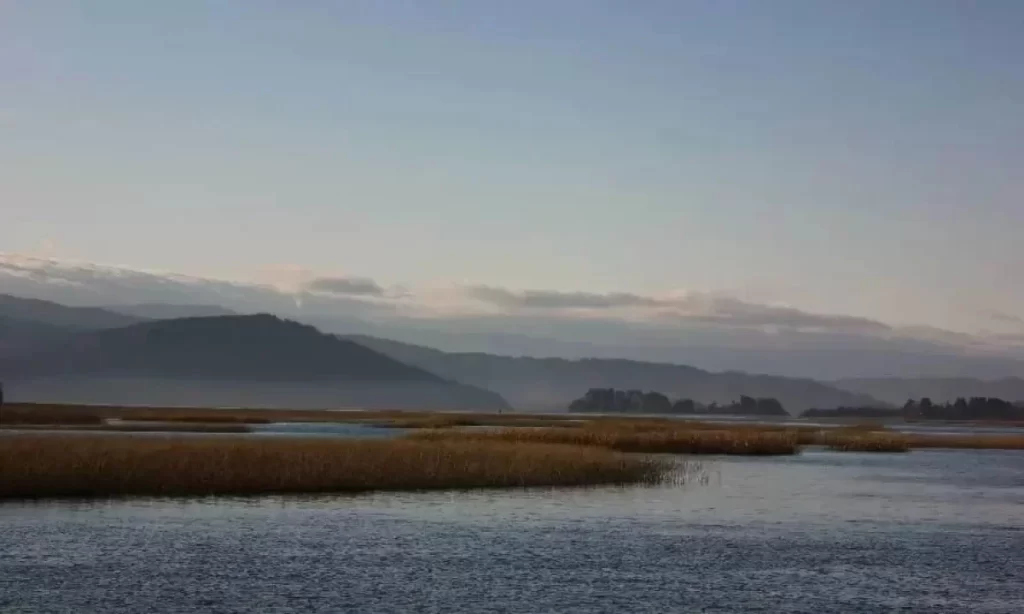 Seminario analizará desafíos y oportunidades de la norma secundaria del río Valdivia