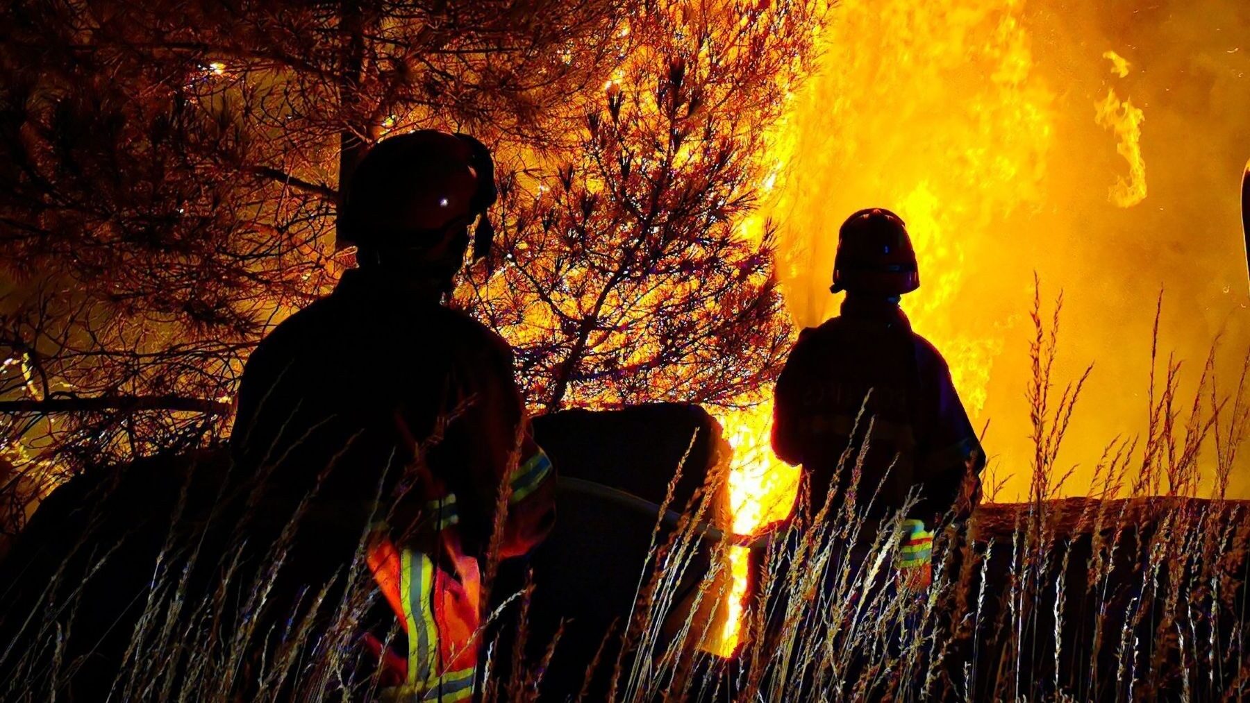 Sumar culpa al negacionismo climático del incendio de Los Gallardos y exige más prevención – ECOticias.com