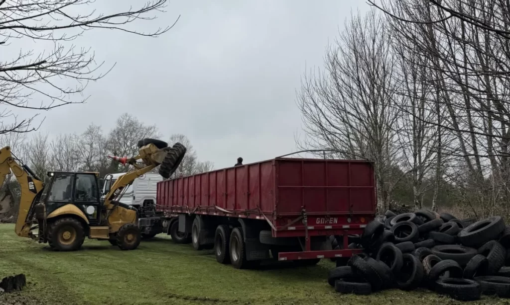 1.200 neumáticos reciclados: el importante hito sustentable que logró Valdivia