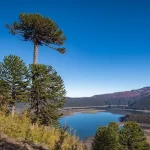 Abren postulaciones a cursos gratuitos sobre áreas protegidas y conservación ambiental