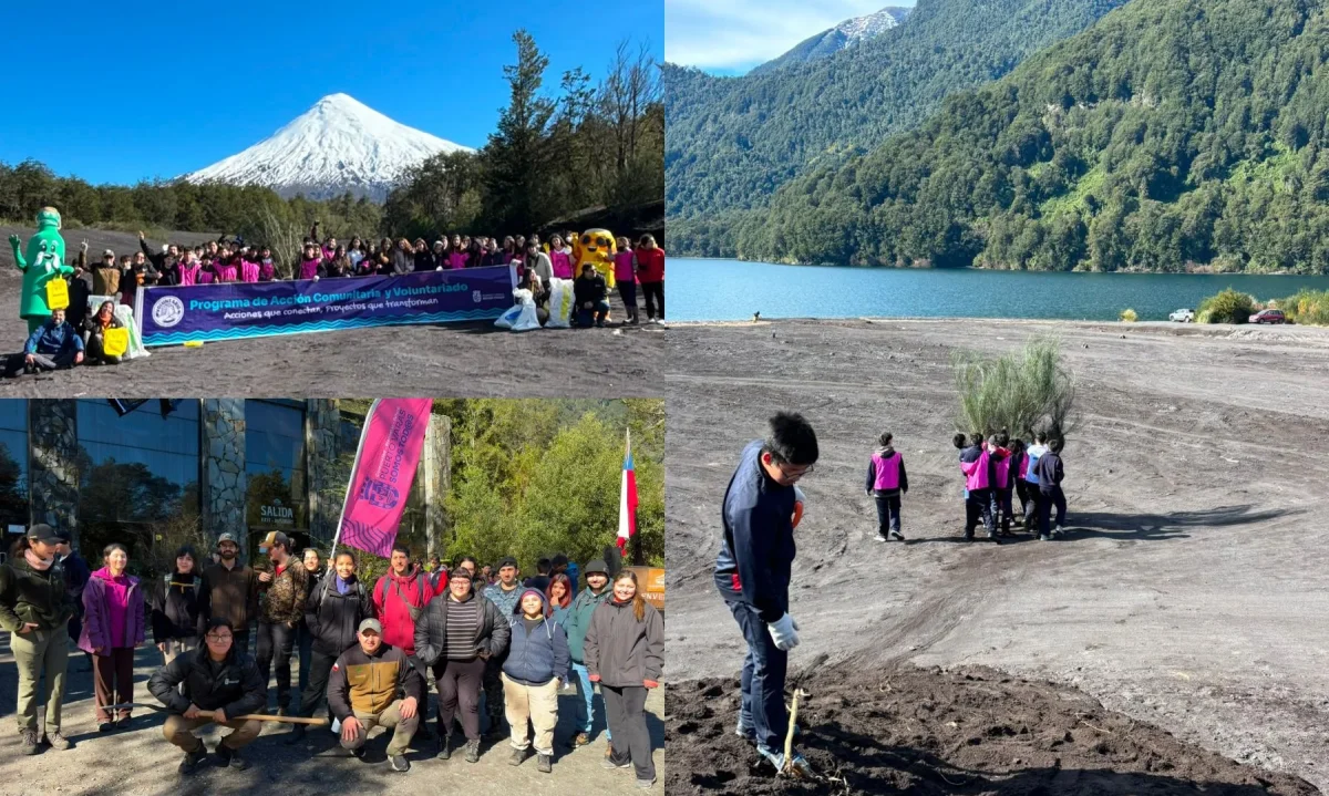 Campaña ambiental alcanza su hito número 100 en la Región de Los Lagos