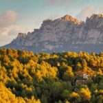 Cataluña invierte un millón de euros en innovación forestal para prevenir incendios y sustituir el plástico – ECOticias.com