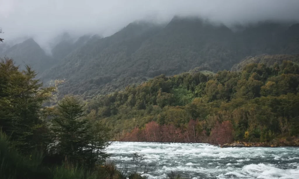 Con música y actividades celebrarán centenario del parque nacional más antiguo de Chile